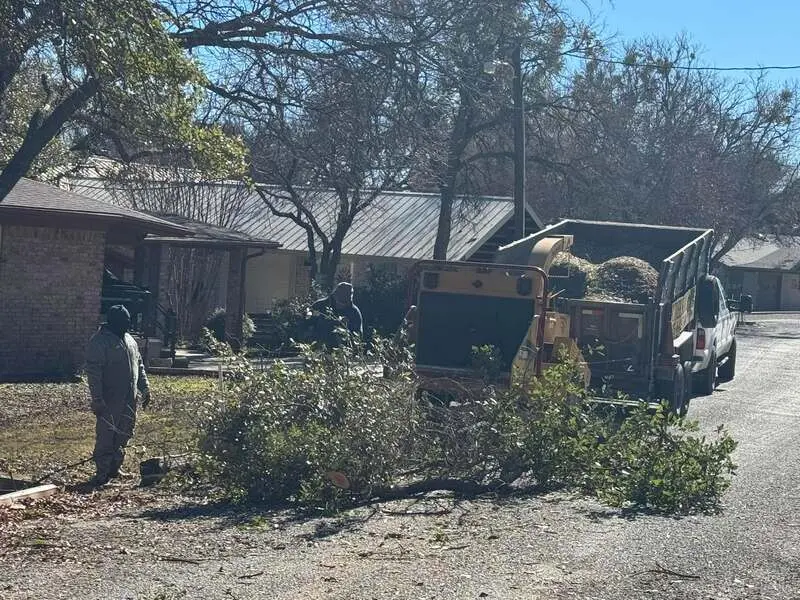 Chipper and crew clearing limbs after tree work