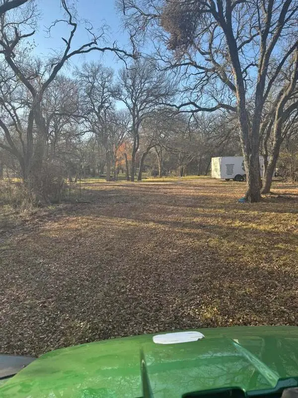 Clean property after SC Tree Service completed removal work