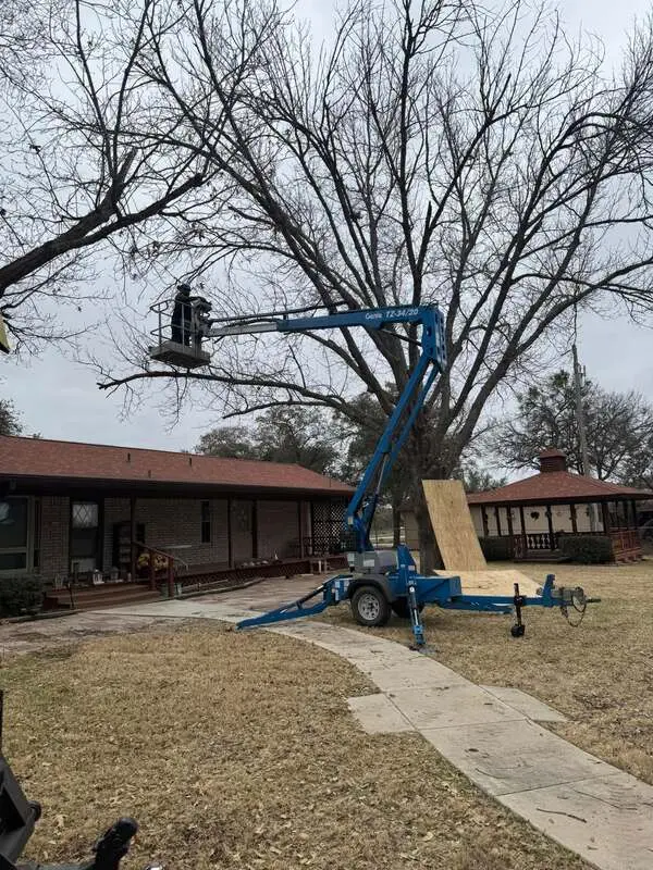 Lift crew working high in a large tree beside a home
