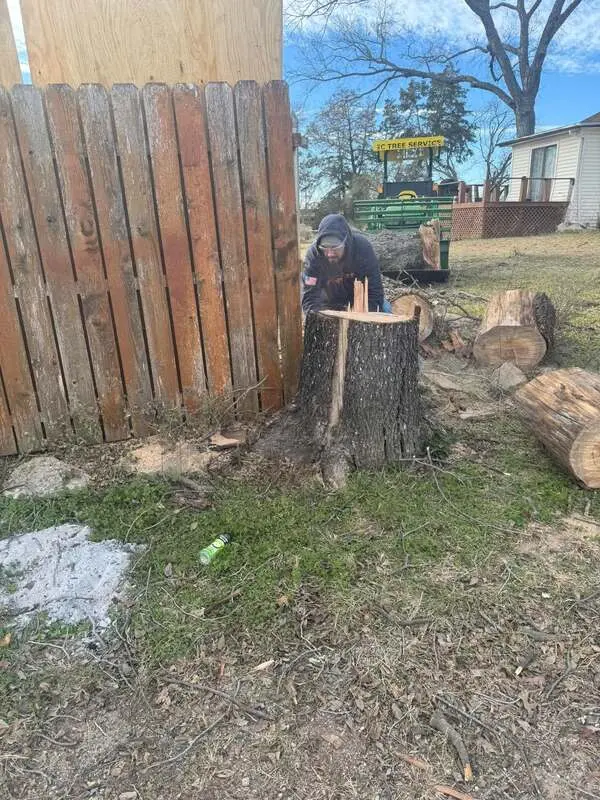 SC Tree Service grinding a stump below grade